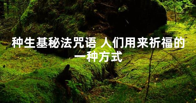 种生基秘法咒语 人们用来祈福的一种方式